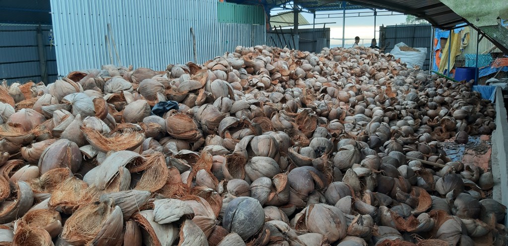 This image has an empty alt attribute; its file name is 20190116_072544-1024x498.jpg