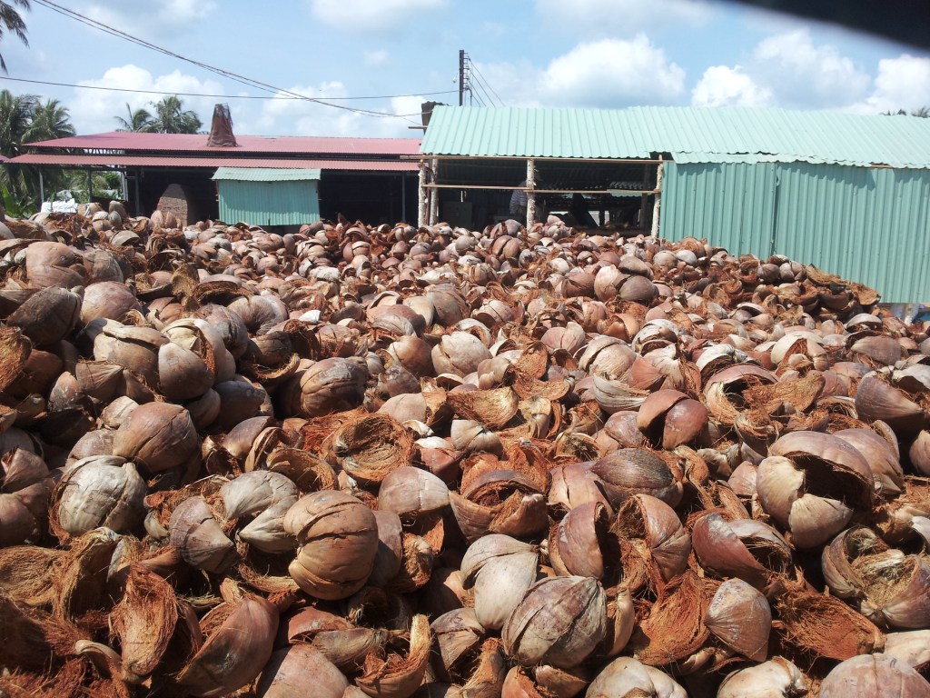 ココナッツの殻