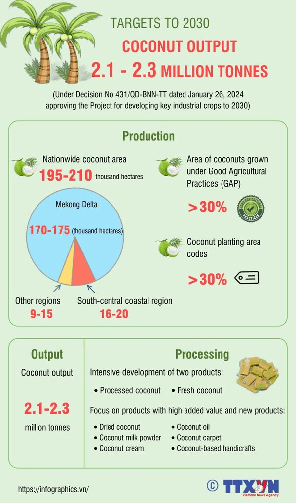 베트남의 코코넛